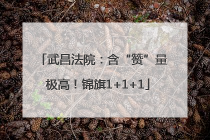 武昌法院：含“赞”量极高！锦旗1+1+1