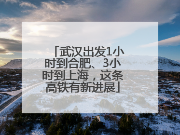 武汉出发1小时到合肥、3小时到上海，这条高铁有新进展