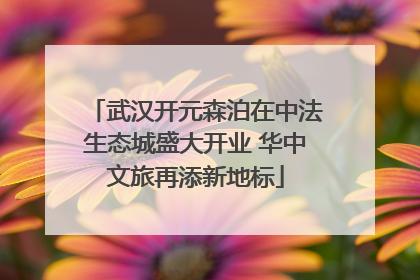 武汉开元森泊在中法生态城盛大开业 华中文旅再添新地标