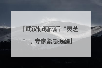 武汉惊现雨后“灵芝”，专家紧急提醒