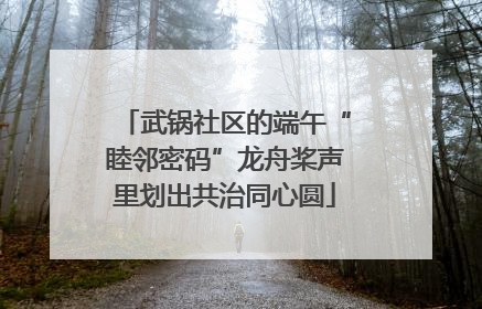 武锅社区的端午“睦邻密码”龙舟桨声里划出共治同心圆