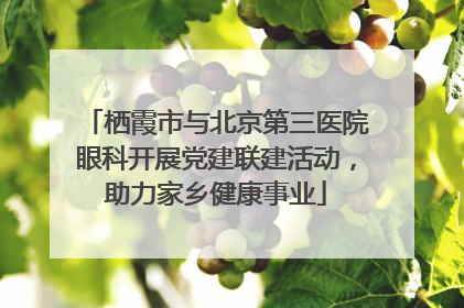 栖霞市与北京第三医院眼科开展党建联建活动，助力家乡健康事业