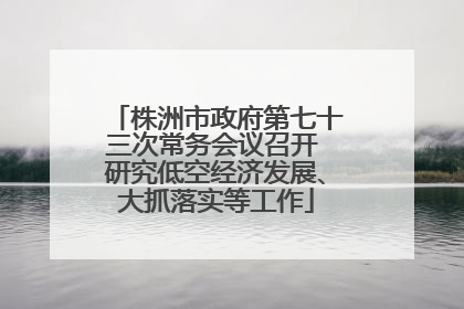 株洲市政府第七十三次常务会议召开 研究低空经济发展、大抓落实等工作