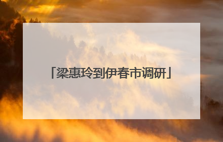 梁惠玲到伊春市调研