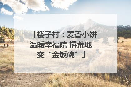 楼子村：麦香小饼温暖幸福院 撂荒地变“金饭碗”