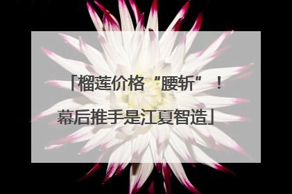 榴莲价格“腰斩”！幕后推手是江夏智造