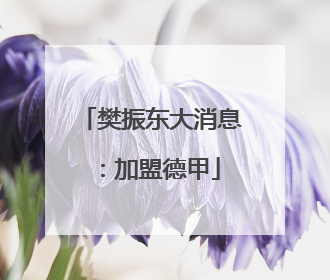 樊振东大消息：加盟德甲