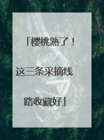 樱桃熟了！这三条采摘线路收藏好