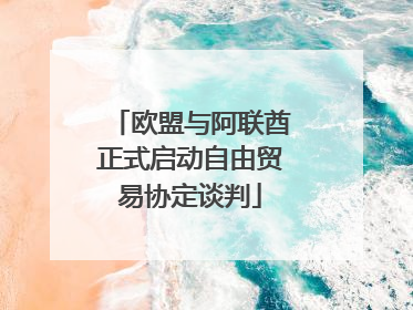 欧盟与阿联酋正式启动自由贸易协定谈判