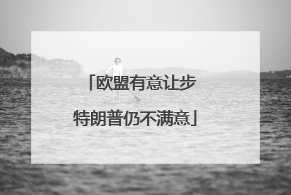 欧盟有意让步 特朗普仍不满意
