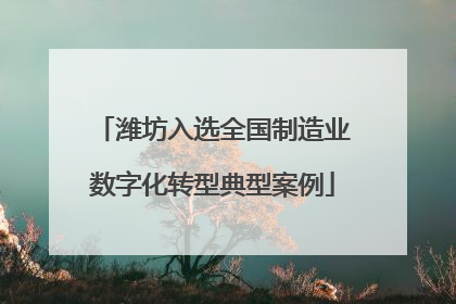 潍坊入选全国制造业数字化转型典型案例