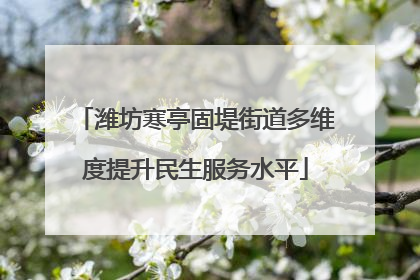潍坊寒亭固堤街道多维度提升民生服务水平