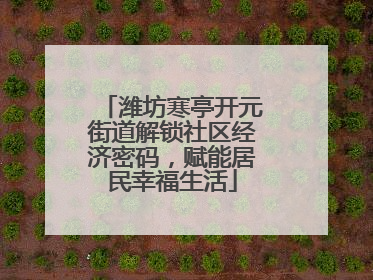 潍坊寒亭开元街道解锁社区经济密码，赋能居民幸福生活