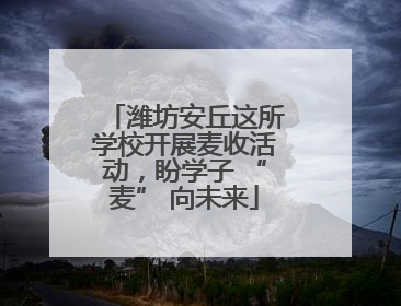 潍坊安丘这所学校开展麦收活动，盼学子 “麦” 向未来