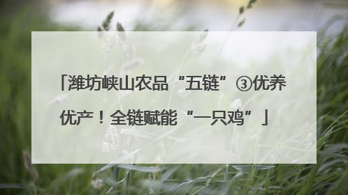 潍坊峡山农品“五链”③优养优产！全链赋能“一只鸡”