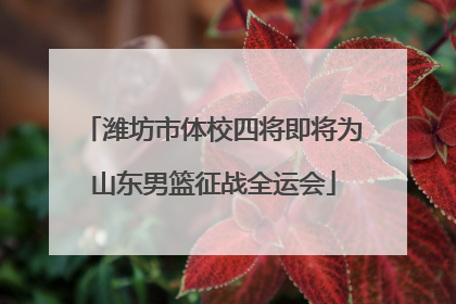 潍坊市体校四将即将为山东男篮征战全运会