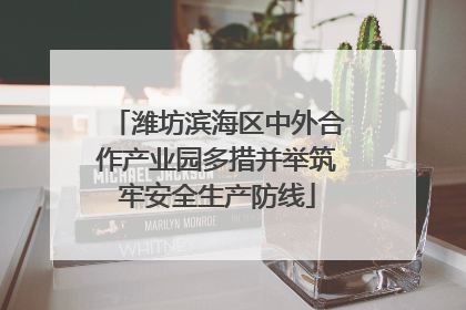 潍坊滨海区中外合作产业园多措并举筑牢安全生产防线