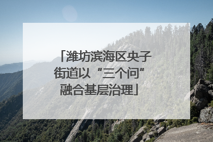 潍坊滨海区央子街道以“三个问”融合基层治理
