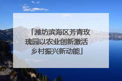 潍坊滨海区芳青玫瑰园以农业创新激活乡村振兴新动能
