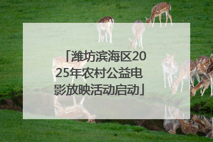 潍坊滨海区2025年农村公益电影放映活动启动