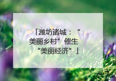 潍坊诸城：“美丽乡村”催生“美丽经济”