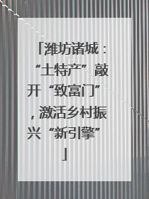 潍坊诸城：“土特产”敲开“致富门”，激活乡村振兴“新引擎”