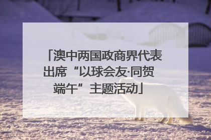 澳中两国政商界代表出席“以球会友·同贺端午”主题活动
