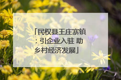 民权县王庄寨镇：引企业入驻 助乡村经济发展