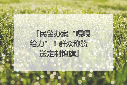 民警办案“嘎嘎给力”！群众称赞送定制锦旗