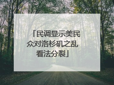 民调显示美民众对洛杉矶之乱看法分裂