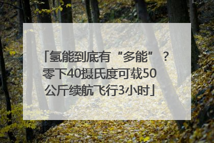 氢能到底有“多能”？零下40摄氏度可载50公斤续航飞行3小时
