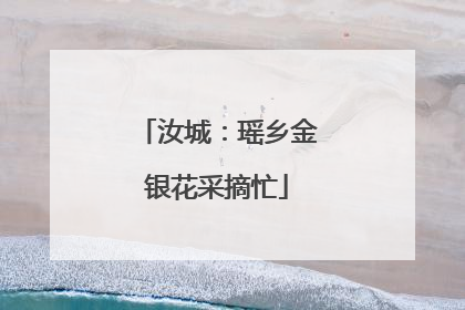 汝城：瑶乡金银花采摘忙