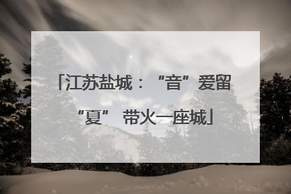 江苏盐城：“音”爱留“夏” 带火一座城