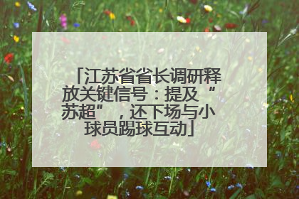 江苏省省长调研释放关键信号：提及“苏超”，还下场与小球员踢球互动