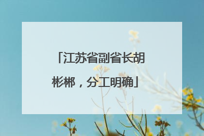 江苏省副省长胡彬郴，分工明确