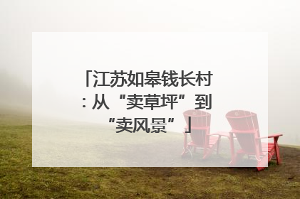 江苏如皋钱长村：从“卖草坪”到“卖风景”