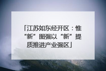 江苏如东经开区：惟“新”图强以“新”提质推进产业强区
