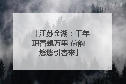 江苏金湖：千年藕香飘万里 荷韵悠悠引客来