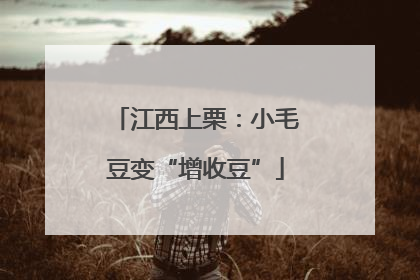 江西上栗：小毛豆变“增收豆”