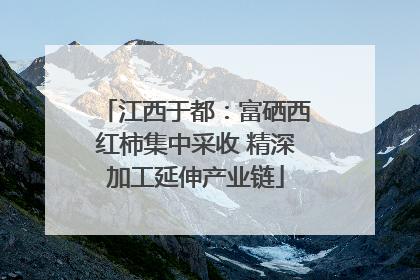 江西于都：富硒西红柿集中采收 精深加工延伸产业链