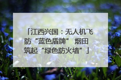 江西兴国：无人机飞防“蓝色盾牌” 烟田筑起“绿色防火墙”