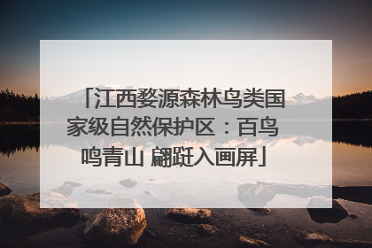 江西婺源森林鸟类国家级自然保护区：百鸟鸣青山 翩跹入画屏