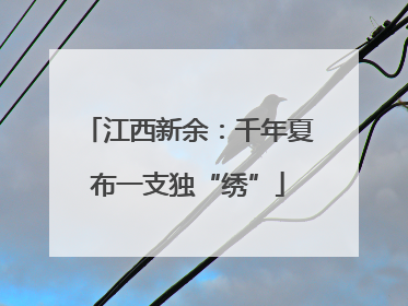 江西新余：千年夏布一支独“绣”