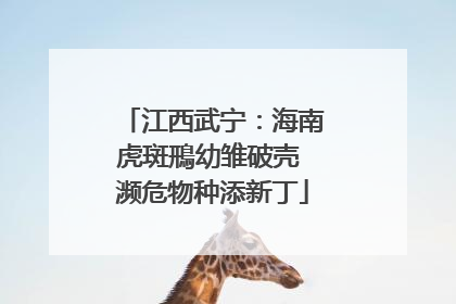 江西武宁：海南虎斑鳽幼雏破壳 濒危物种添新丁