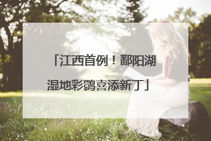 江西首例！鄱阳湖湿地彩鹮喜添新丁