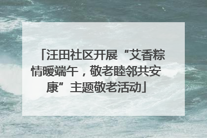 汪田社区开展“艾香粽情暖端午，敬老睦邻共安康”主题敬老活动