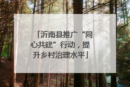 沂南县推广“同心共建”行动，提升乡村治理水平