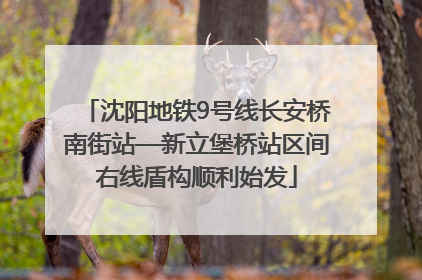 沈阳地铁9号线长安桥南街站—新立堡桥站区间右线盾构顺利始发