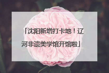 沈阳新增打卡地！辽河非遗美学馆开馆啦