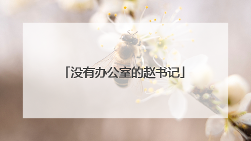 没有办公室的赵书记